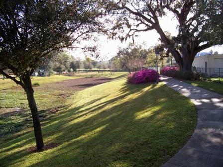 Paved Walking Path by Grass, Trees, and Flowering Bushes